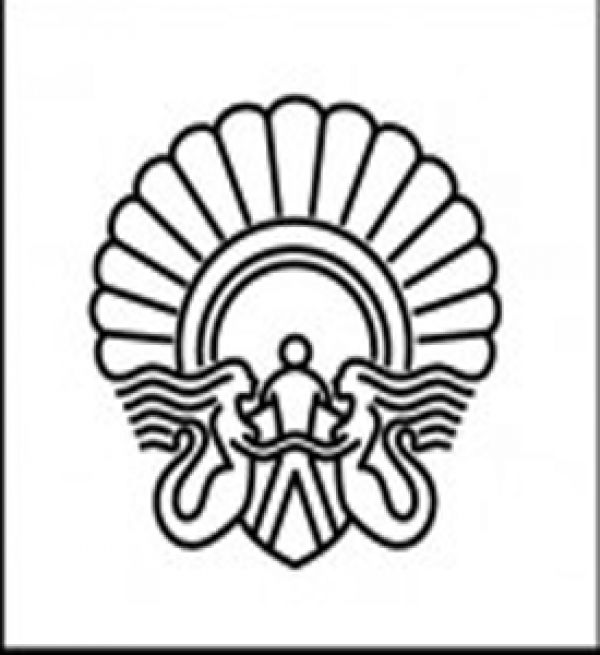 Donostiako Zinemaldian boluntario edo langile gisa