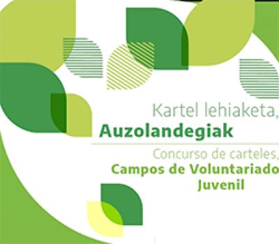 "Auzolandegiak programaren" Kartel lehiketa